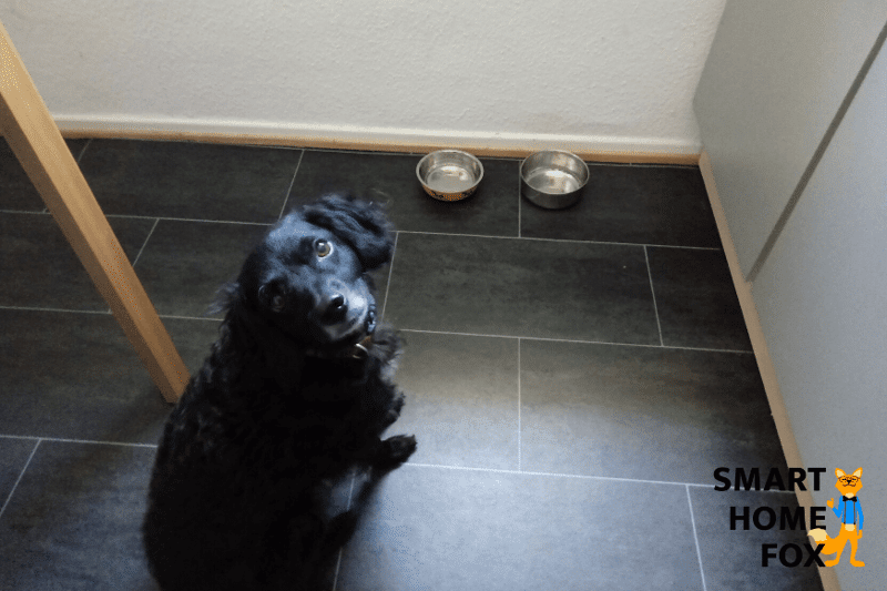 Hund sitzt auf dem Boden vor dem Futternapf.